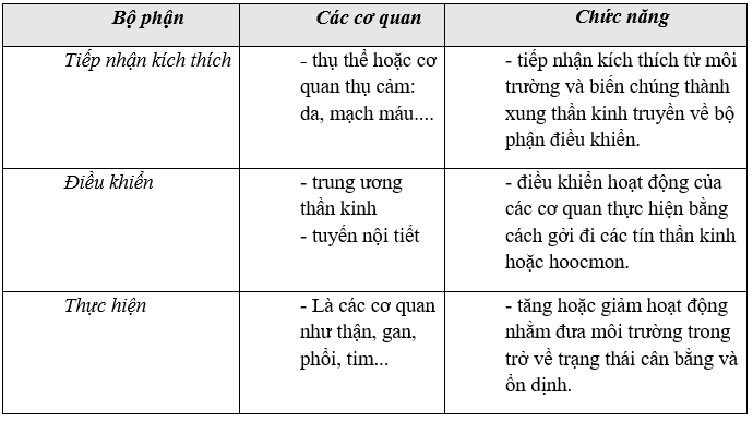 Giáo án Sinh học 11 Bài 20: Cân bằng nội môi | Giáo án Sinh học 11 mới, chuẩn nhất