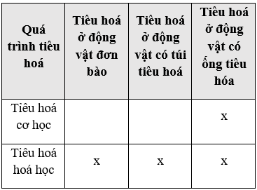 (KHBD) Giáo án Sinh học 11 Bài 22 (mới, chuẩn nhất)
