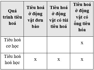 Giáo án Sinh học 11 Bài 22: Ôn tập chương 1 | Giáo án Sinh học 11 mới, chuẩn nhất