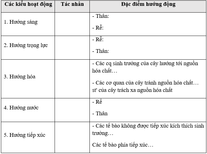 Giáo án Sinh học 11 Bài 23: Hướng động | Giáo án Sinh học 11 mới, chuẩn nhất