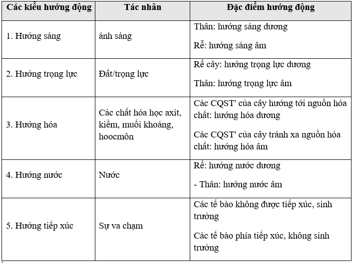 Giáo án Sinh học 11 Bài 23: Hướng động | Giáo án Sinh học 11 mới, chuẩn nhất