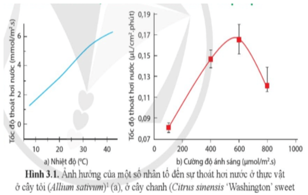 Giáo án Sinh học 11 Cánh diều Bài 3: Nhân tố ảnh hưởng đến trao đổi nước và khoáng ở thực vật (ảnh 1)