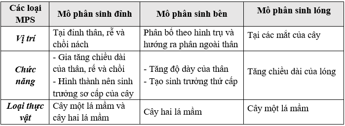 Giáo án Sinh học 11 Bài 34: Sinh trưởng ở thực vật | Giáo án Sinh học 11 mới, chuẩn nhất