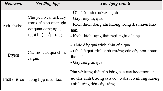 Giáo án Sinh học 11 Bài 35: Hoocmôn thực vật | Giáo án Sinh học 11 mới, chuẩn nhất