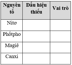 Giáo án Sinh học 11 Bài 4: Vai trò của các nguyên tố khoáng | Giáo án Sinh học 11 mới, chuẩn nhất