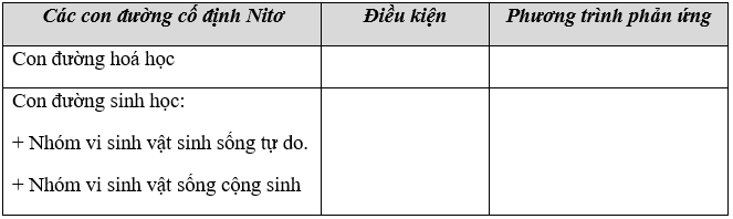 Giáo án Sinh học 11 Bài 5, 6: Dinh dưỡng nitơ ở thực vật | Giáo án Sinh học 11 mới, chuẩn nhất