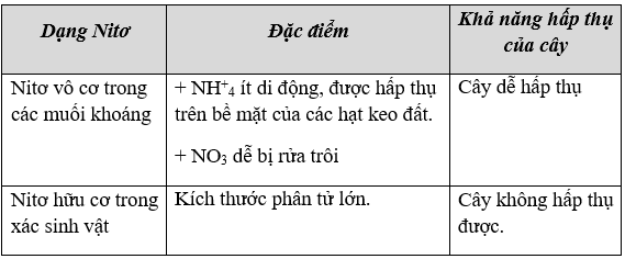 Giáo án Sinh học 11 Bài 5, 6: Dinh dưỡng nitơ ở thực vật | Giáo án Sinh học 11 mới, chuẩn nhất