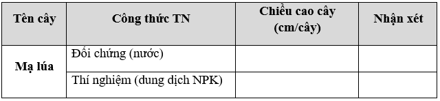 Giáo án Sinh học 11 Bài 7: Thực hành: Thí nghiệm thoát hơi nước và thí nghiệm về vai trò của phân bón | Giáo án Sinh học 11 mới, chuẩn nhất