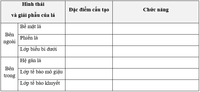 Giáo án Sinh học 11 Bài 8: Quang hợp ở thực vật | Giáo án Sinh học 11 mới, chuẩn nhất