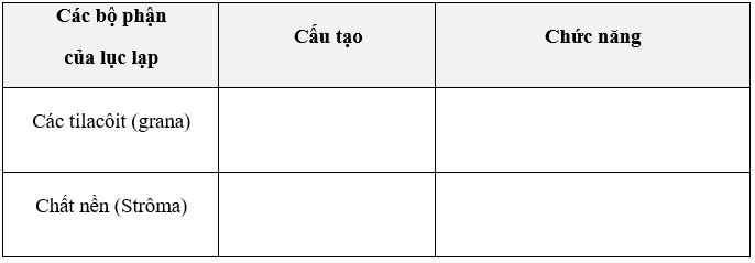 Giáo án Sinh học 11 Bài 8: Quang hợp ở thực vật | Giáo án Sinh học 11 mới, chuẩn nhất