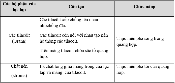 Giáo án Sinh học 11 Bài 8: Quang hợp ở thực vật | Giáo án Sinh học 11 mới, chuẩn nhất