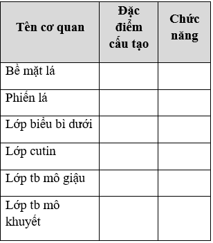 Giáo án Sinh học 11 Bài 8: Quang hợp ở thực vật | Giáo án Sinh học 11 mới, chuẩn nhất