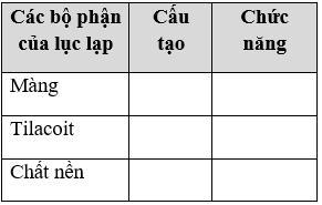 Giáo án Sinh học 11 Bài 8: Quang hợp ở thực vật | Giáo án Sinh học 11 mới, chuẩn nhất