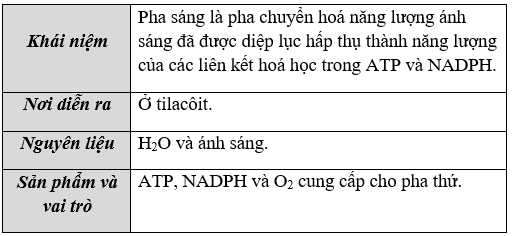 Giáo án Sinh học 11 Bài 9: Quang hợp ở các nhóm thực vật C3, C4 và CAM | Giáo án Sinh học 11 mới, chuẩn nhất