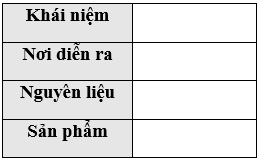 Giáo án Sinh học 11 Bài 9: Quang hợp ở các nhóm thực vật C3, C4 và CAM | Giáo án Sinh học 11 mới, chuẩn nhất