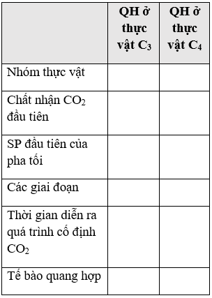 Giáo án Sinh học 11 Bài 9: Quang hợp ở các nhóm thực vật C3, C4 và CAM | Giáo án Sinh học 11 mới, chuẩn nhất