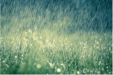 Giáo án Chuyên đề Sinh học 11 Kết nối tri thức Bài 3: Dự án: Điều tra tình hình sử dụng phân bón tại địa phương hoặc thực hành trồng cây với các kĩ thuật bón phân phù hợp