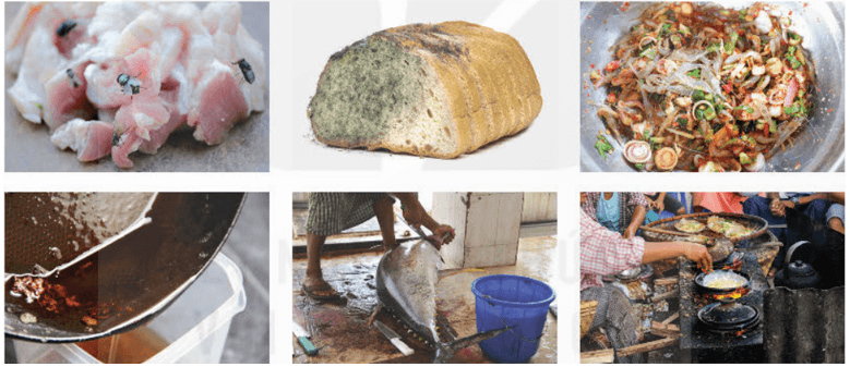 Giáo án Chuyên đề Sinh học 11 Kết nối tri thức Bài 9: Khái quát về vệ sinh an toàn thực phẩm