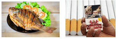 Giáo án Chuyên đề Sinh học 11 Kết nối tri thức Bài 9: Khái quát về vệ sinh an toàn thực phẩm