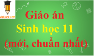 Giáo án Sinh học 11 (mới nhất) | Giáo án Sinh 11 (chuẩn nhất)