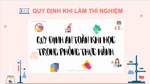 Giáo án điện tử Sinh 11 Kết nối tri thức Bài 11: Thực hành: Một số thí nghiệm về tuần hoàn | PPT Sinh học 11