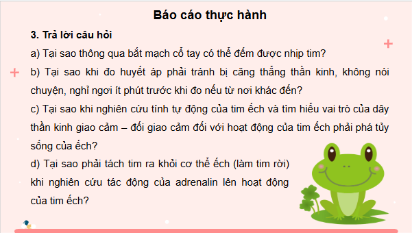 Giáo án điện tử Sinh 11 Kết nối tri thức Bài 11: Thực hành: Một số thí nghiệm về tuần hoàn | PPT Sinh học 11