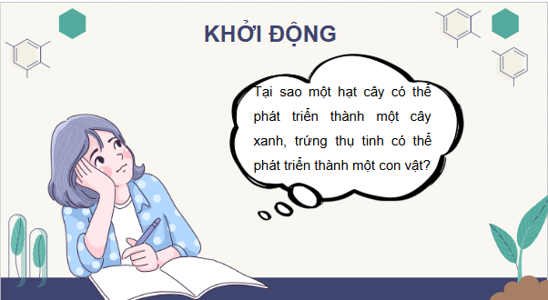 Giáo án điện tử Sinh 11 Kết nối tri thức Bài 19: Khái quát về sinh trưởng và phát triển ở sinh vật | PPT Sinh học 11
