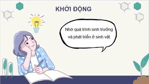 Giáo án điện tử Sinh 11 Kết nối tri thức Bài 19: Khái quát về sinh trưởng và phát triển ở sinh vật | PPT Sinh học 11