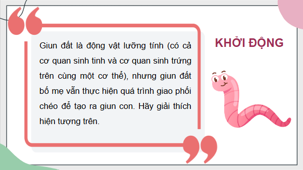 Giáo án điện tử Sinh 11 Chân trời sáng tạo Bài 26: Sinh sản ở động vật | PPT Sinh học 11