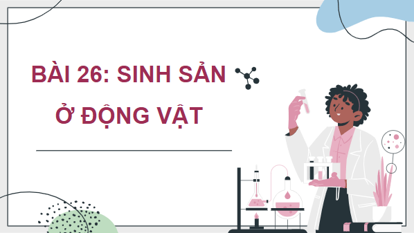 Giáo án điện tử Sinh 11 Chân trời sáng tạo Bài 26: Sinh sản ở động vật | PPT Sinh học 11