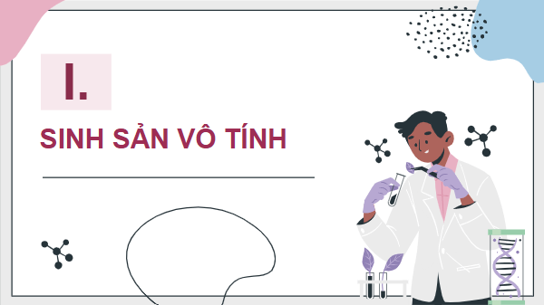 Giáo án điện tử Sinh 11 Chân trời sáng tạo Bài 26: Sinh sản ở động vật | PPT Sinh học 11