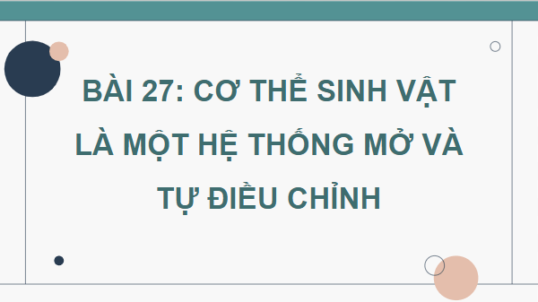 Giáo án điện tử Sinh 11 Chân trời sáng tạo Bài 27: Cơ thể sinh vật là một hệ thống mở và tự điều chỉnh | PPT Sinh học 11