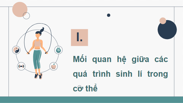 Giáo án điện tử Sinh 11 Chân trời sáng tạo Bài 27: Cơ thể sinh vật là một hệ thống mở và tự điều chỉnh | PPT Sinh học 11