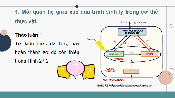 Giáo án điện tử Sinh 11 Chân trời sáng tạo Bài 27: Cơ thể sinh vật là một hệ thống mở và tự điều chỉnh | PPT Sinh học 11