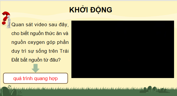 Giáo án điện tử Sinh 11 Kết nối tri thức Bài 4: Quang hợp ở thực vật | PPT Sinh học 11