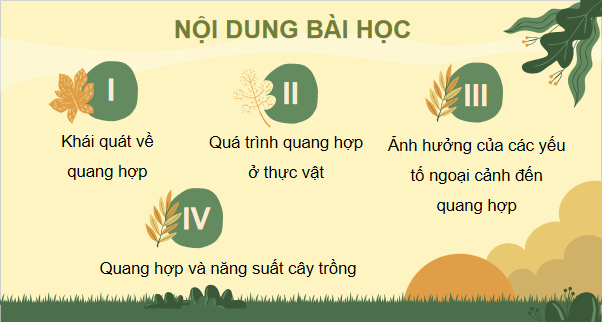 Giáo án điện tử Sinh 11 Kết nối tri thức Bài 4: Quang hợp ở thực vật | PPT Sinh học 11