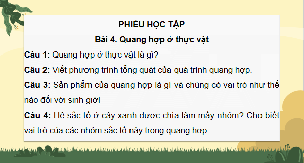 Giáo án điện tử Sinh 11 Kết nối tri thức Bài 4: Quang hợp ở thực vật | PPT Sinh học 11