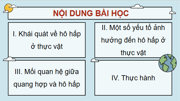 Giáo án điện tử Sinh 11 Cánh diều Bài 5: Hô hấp ở thực vật | PPT Sinh học 11