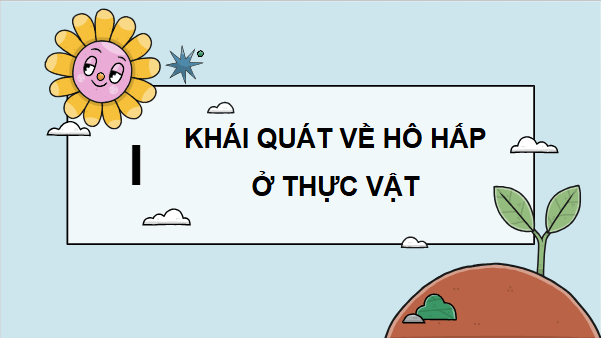 Giáo án điện tử Sinh 11 Cánh diều Bài 5: Hô hấp ở thực vật | PPT Sinh học 11