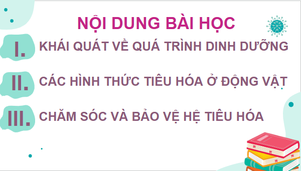 Giáo án điện tử Sinh 11 Chân trời sáng tạo Bài 8: Dinh dưỡng và tiêu hóa ở động vật | PPT Sinh học 11