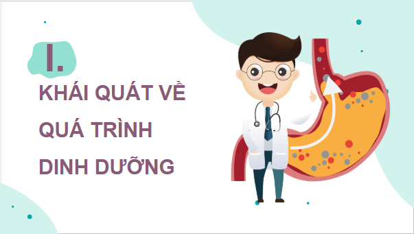 Giáo án điện tử Sinh 11 Chân trời sáng tạo Bài 8: Dinh dưỡng và tiêu hóa ở động vật | PPT Sinh học 11