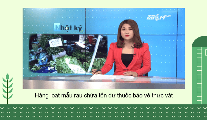 Giáo án điện tử Chuyên đề Sinh 11 Kết nối tri thức Bài 1: Nguyên tắc và các biện pháp kĩ thuật sử dụng dinh dưỡng khoáng trong nền nông nghiệp sạch | PPT Chuyên đề Sinh học 11