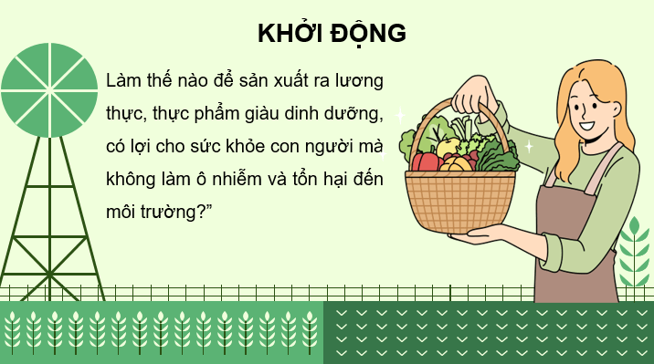 Giáo án điện tử Chuyên đề Sinh 11 Kết nối tri thức Bài 1: Nguyên tắc và các biện pháp kĩ thuật sử dụng dinh dưỡng khoáng trong nền nông nghiệp sạch | PPT Chuyên đề Sinh học 11
