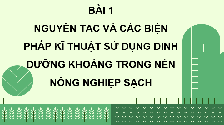 Giáo án điện tử Chuyên đề Sinh 11 Kết nối tri thức Bài 1: Nguyên tắc và các biện pháp kĩ thuật sử dụng dinh dưỡng khoáng trong nền nông nghiệp sạch | PPT Chuyên đề Sinh học 11