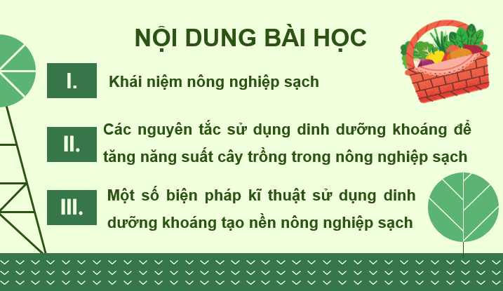 Giáo án điện tử Chuyên đề Sinh 11 Kết nối tri thức Bài 1: Nguyên tắc và các biện pháp kĩ thuật sử dụng dinh dưỡng khoáng trong nền nông nghiệp sạch | PPT Chuyên đề Sinh học 11