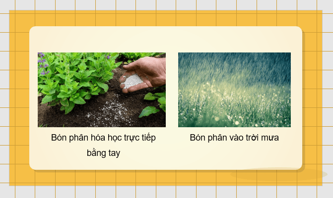 Giáo án điện tử Chuyên đề Sinh 11 Kết nối tri thức Bài 3: Dự án: Điều tra tình hình sử dụng phân bón tại địa phương hoặc thực hành trồng cây với các kĩ thuật bón phân phù hợp | PPT Chuyên đề Sinh học 11