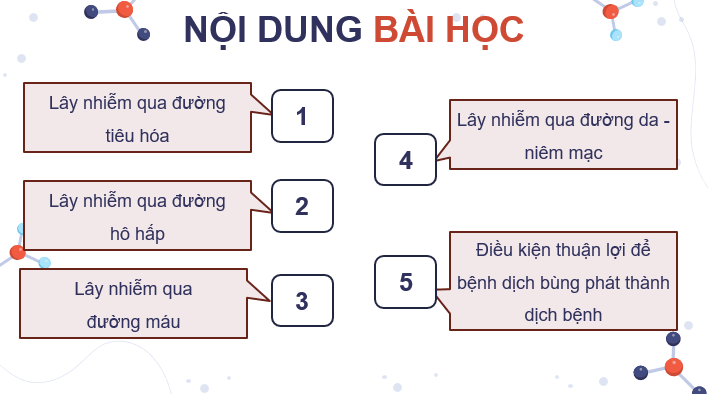 Giáo án điện tử Chuyên đề Sinh 11 Kết nối tri thức Bài 6: Nguyên nhân lây nhiễm bệnh dịch ở người | PPT Chuyên đề Sinh học 11
