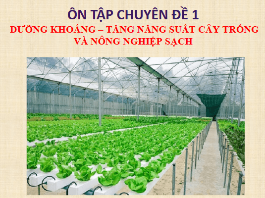 Giáo án điện tử Chuyên đề Sinh 11 Chân trời sáng tạo Ôn tập chuyên đề 1 | PPT Chuyên đề Sinh học 11