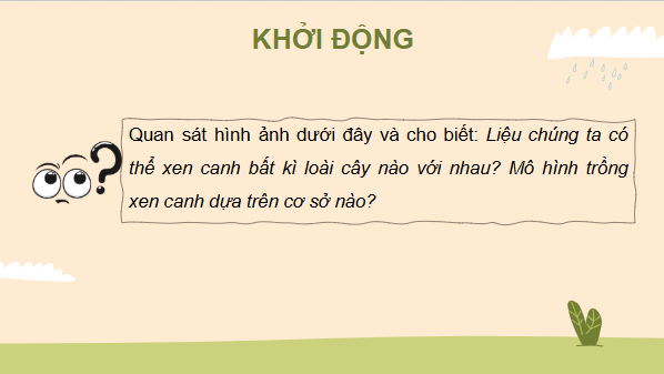 Giáo án điện tử Sinh 11 Cánh diều Ôn tập chủ đề 3 | PPT Sinh học 11