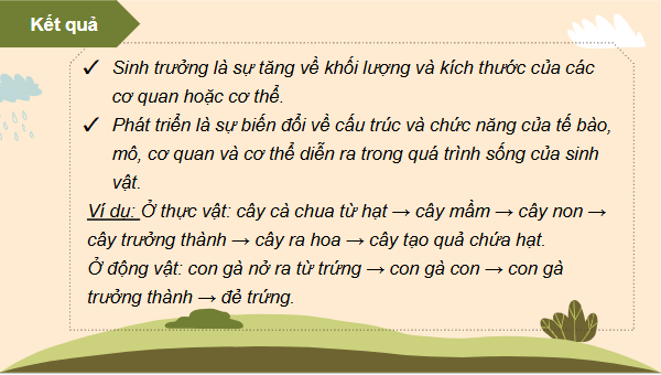 Giáo án điện tử Sinh 11 Cánh diều Ôn tập chủ đề 3 | PPT Sinh học 11